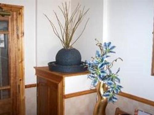 Bed & Breakfast The Park Blackpool